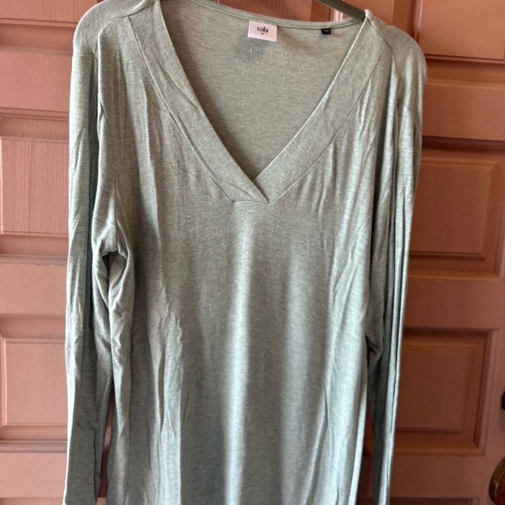 CAbi V-Neck Long Sleeve Top in Light Green